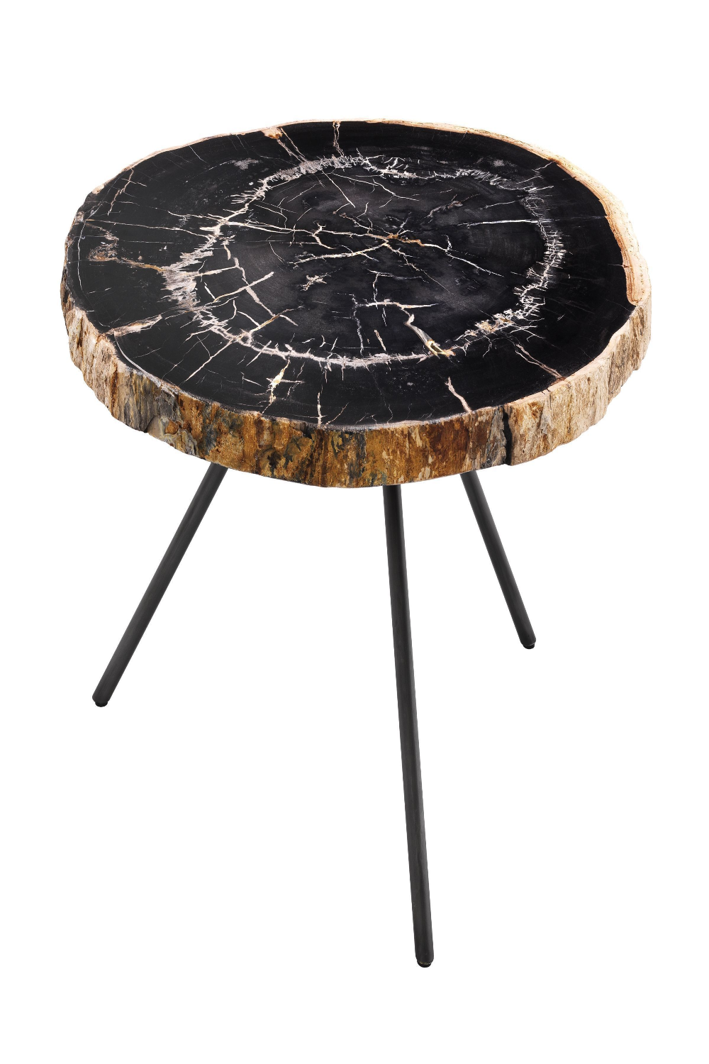 Petrified Coffee Table (3) De Soto | Eichholtz Miami