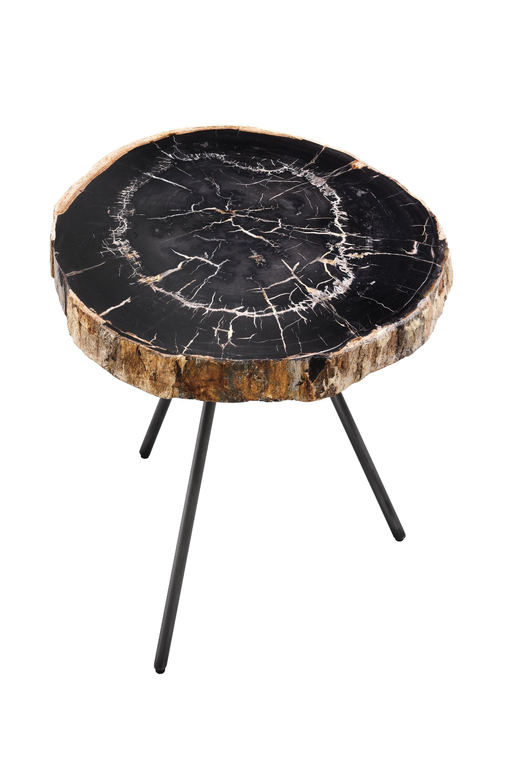 Petrified Coffee Table (3) De Soto | Eichholtz Miami