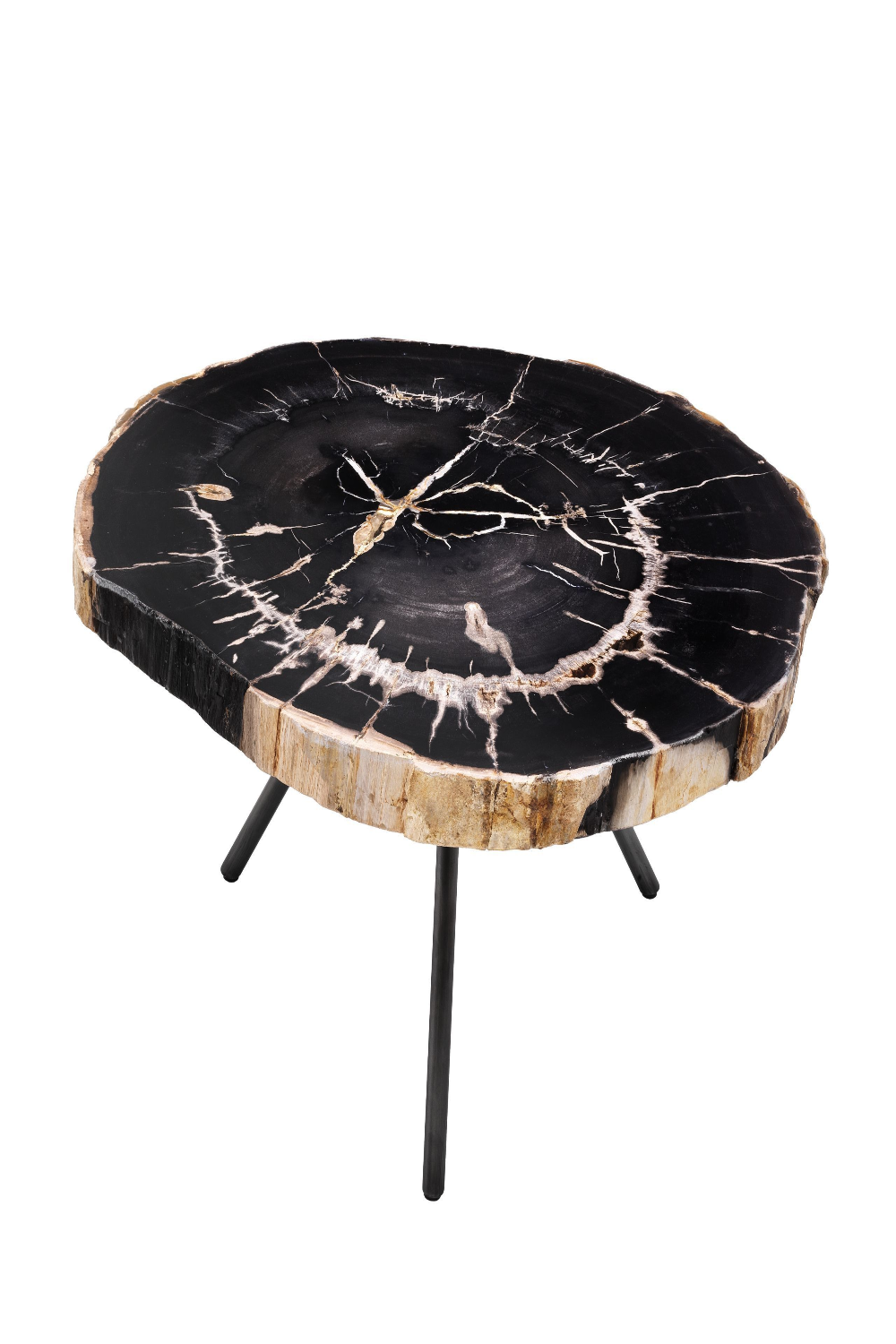 Petrified Coffee Table (3) De Soto | Eichholtz Miami