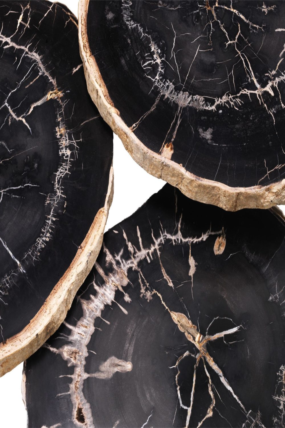 Petrified Coffee Table (3) De Soto | Eichholtz Miami