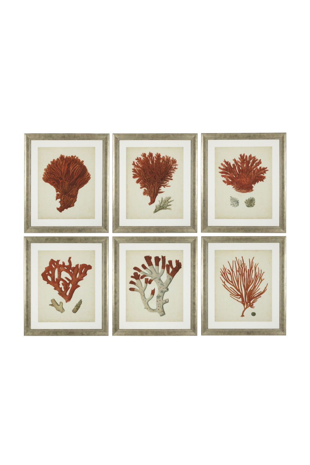 Silver Frame Prints (6) Red Corals | Eichholtz Miami
