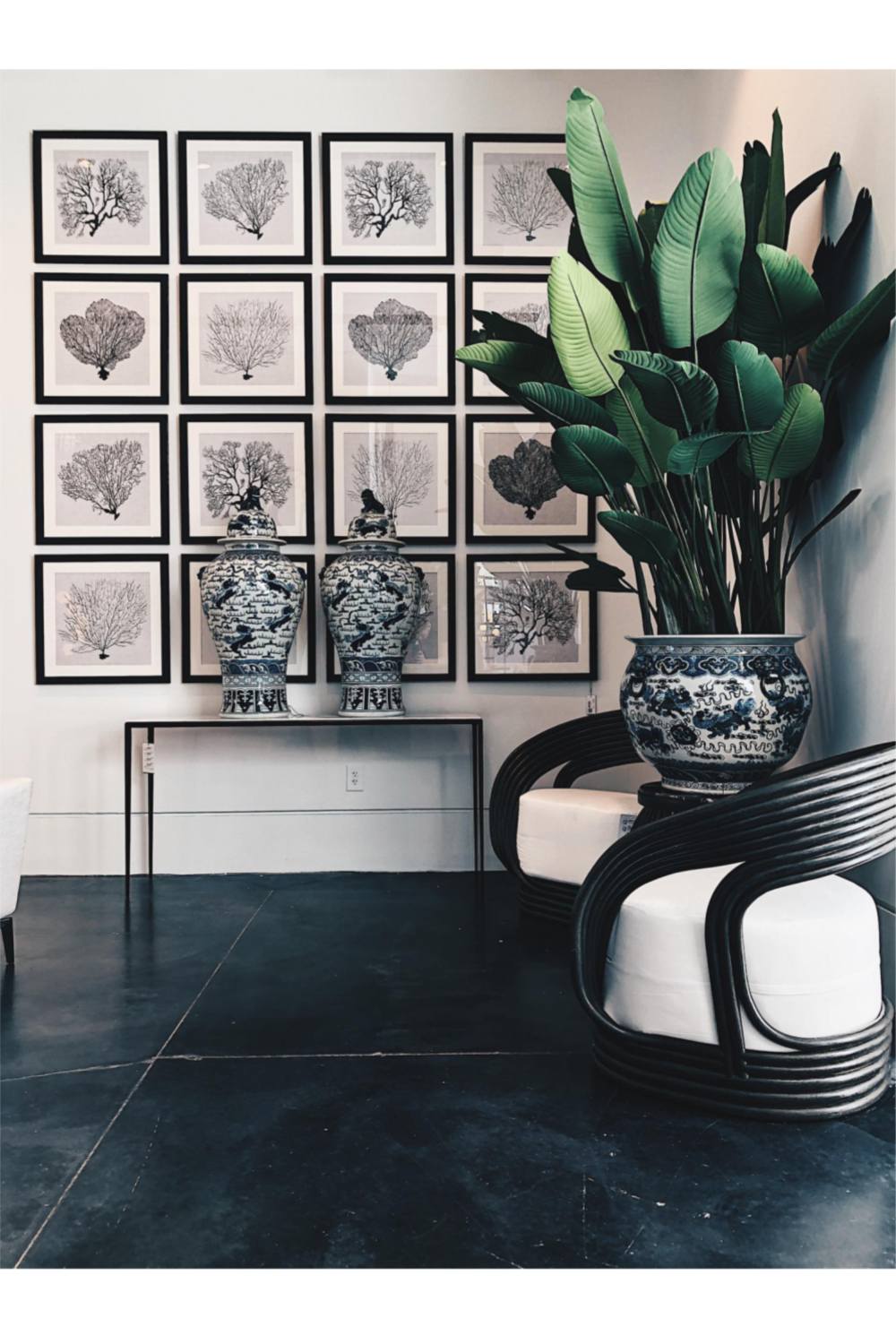 Coral Prints (4) Shadow Sea Fans | Eichholtz Miami