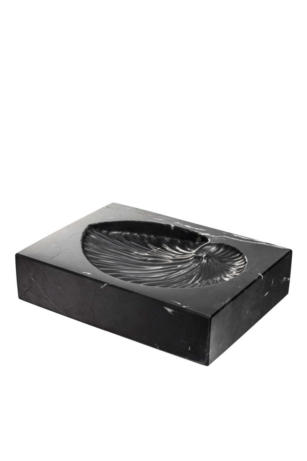 Black Marble Shell Fossil Conchiglia | Eichholtz Miami