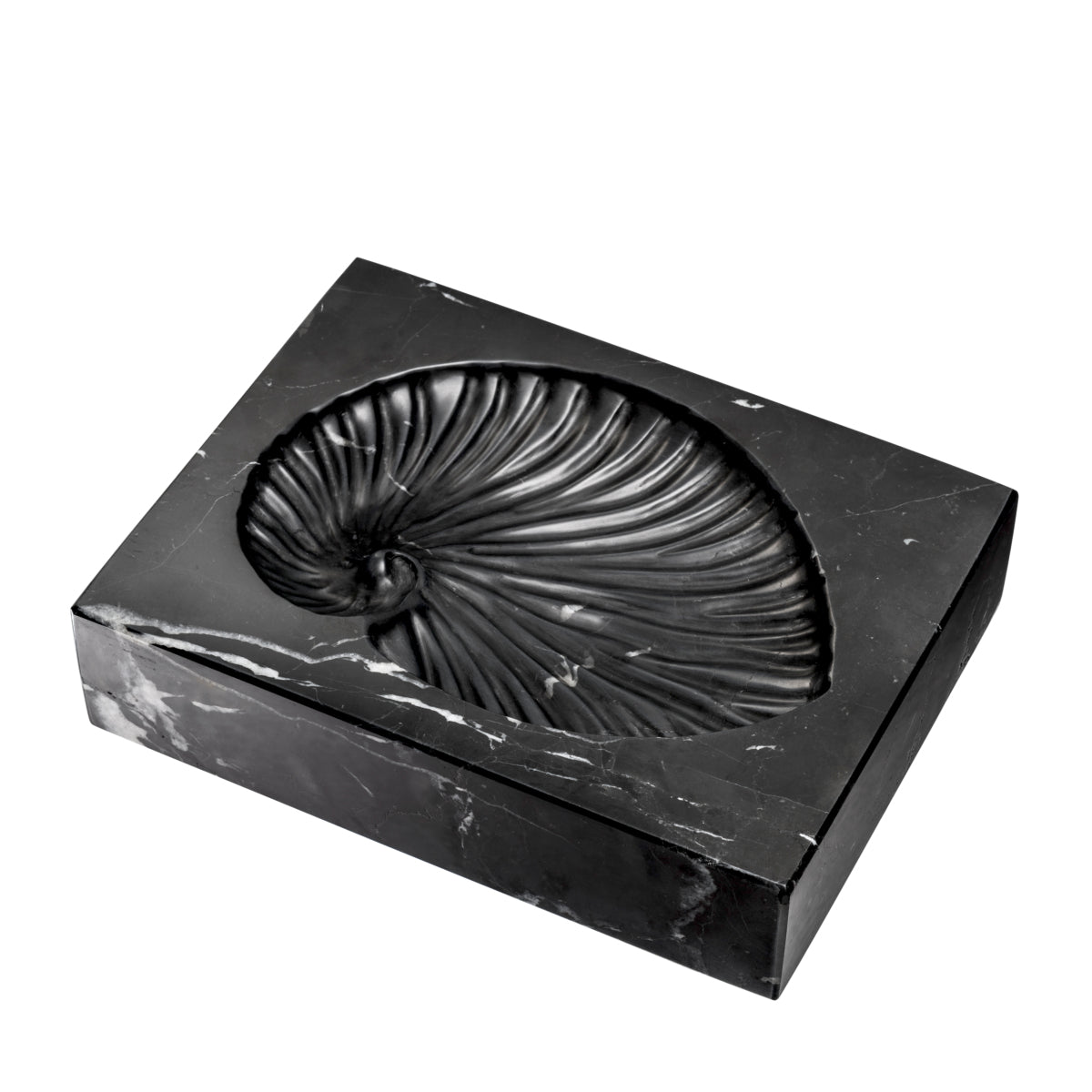 Black Marble Shell Fossil Conchiglia | Eichholtz Miami