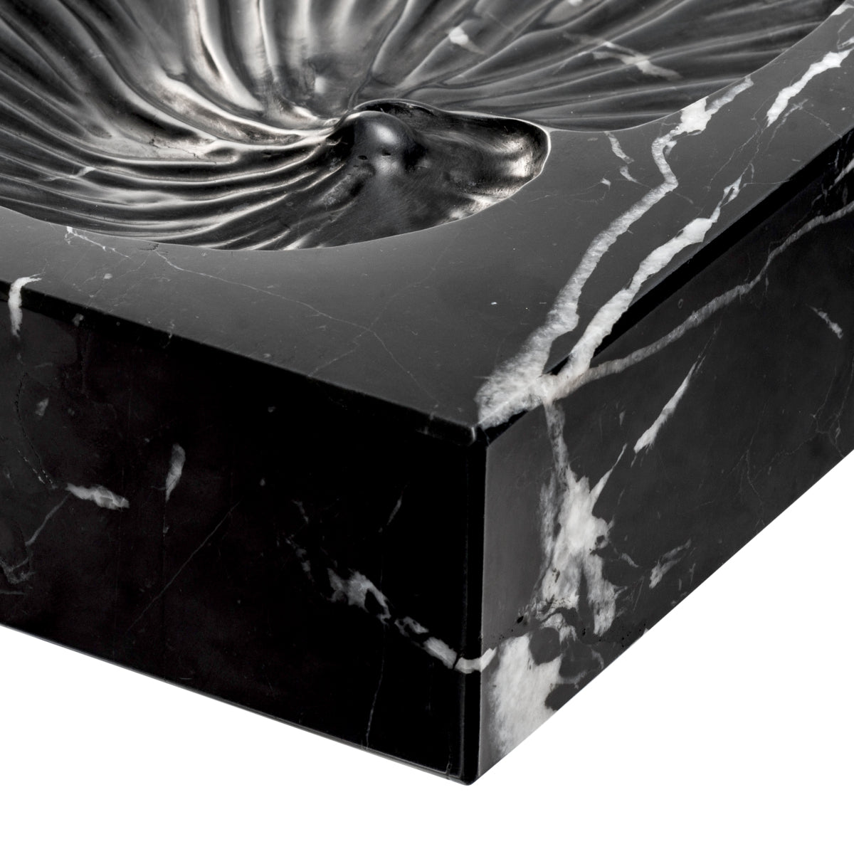 Black Marble Shell Fossil Conchiglia | Eichholtz Miami