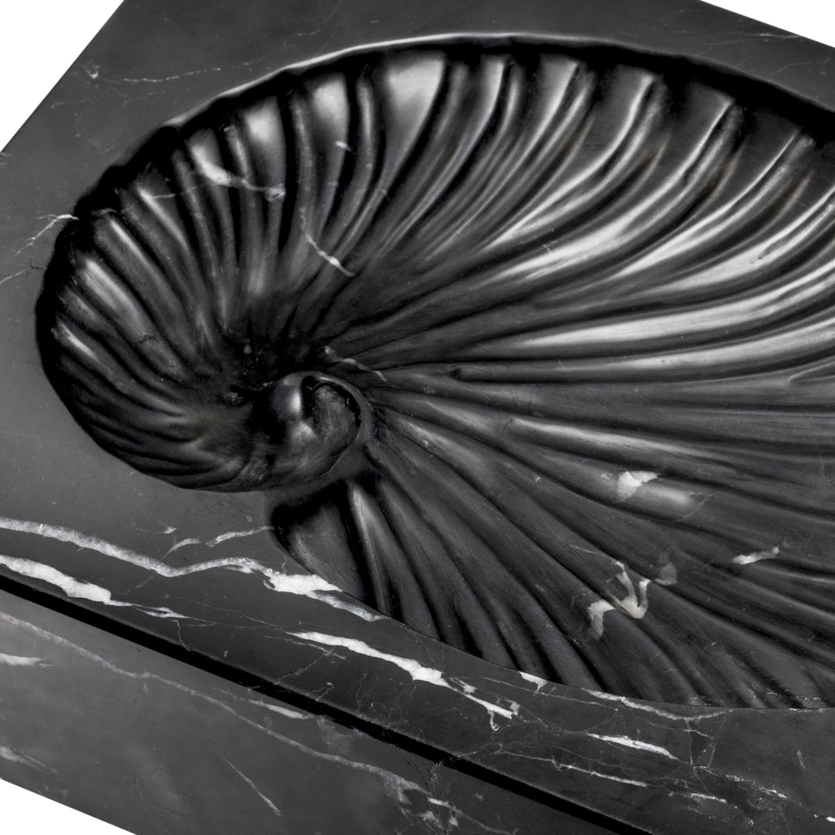 Black Marble Shell Fossil Conchiglia | Eichholtz Miami