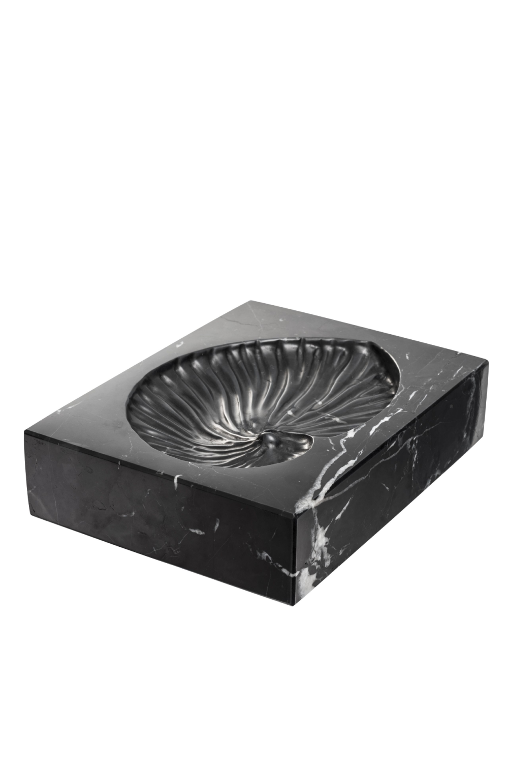 Black Marble Shell Fossil Conchiglia | Eichholtz Miami