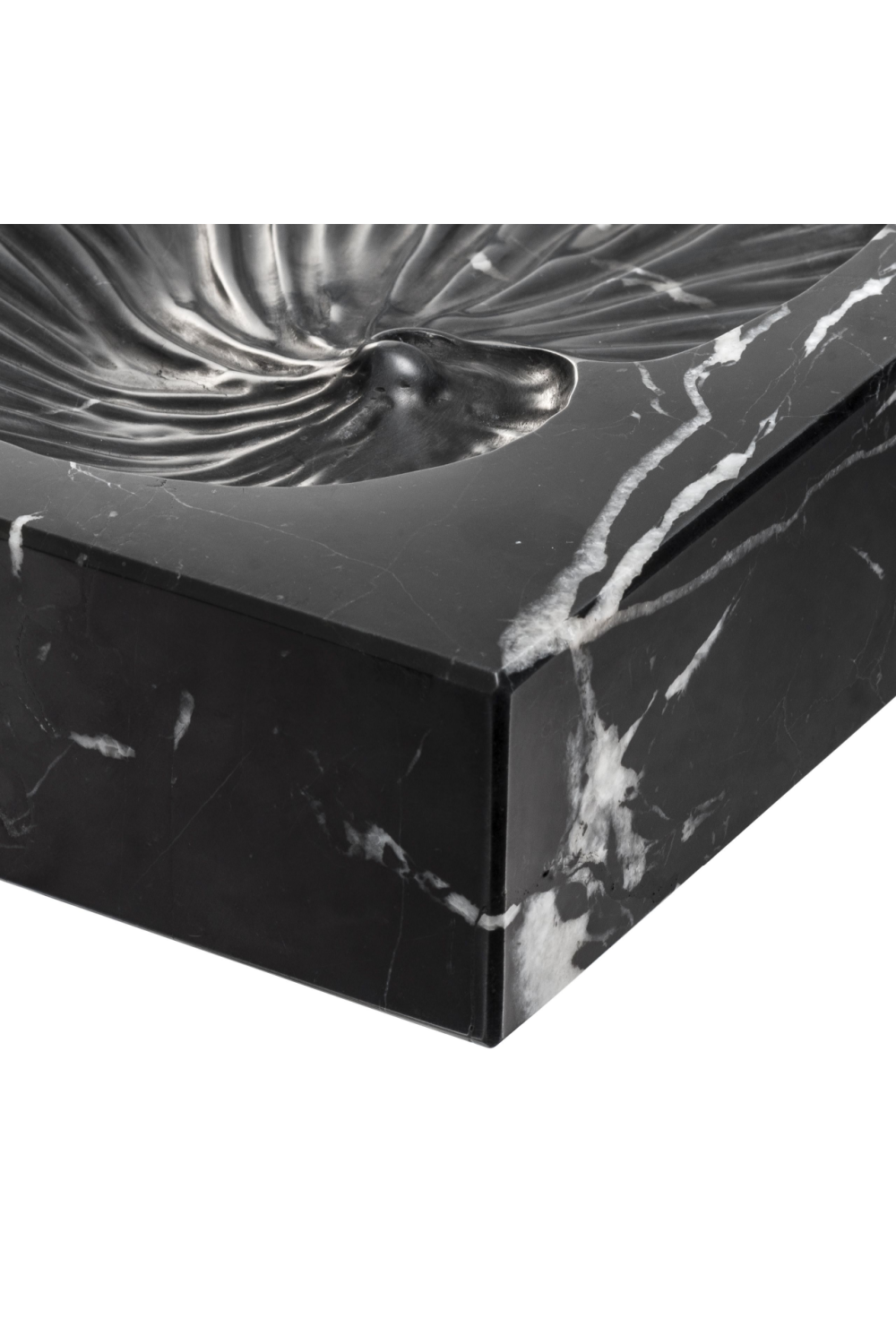 Black Marble Shell Fossil Conchiglia | Eichholtz Miami