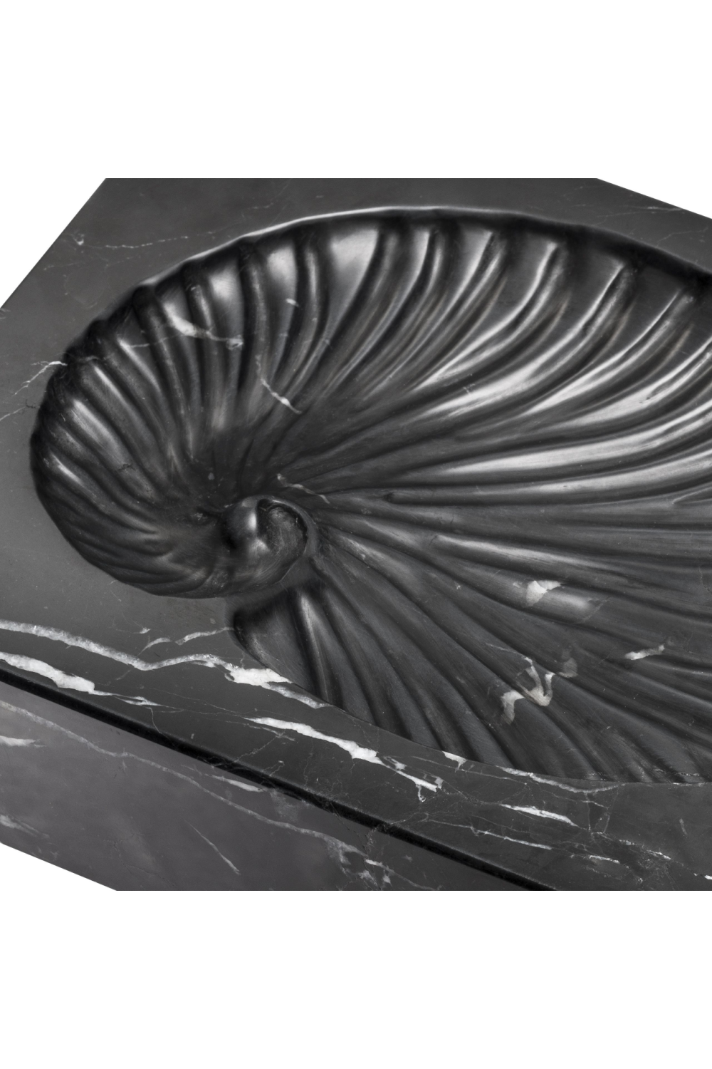 Black Marble Shell Fossil Conchiglia | Eichholtz Miami