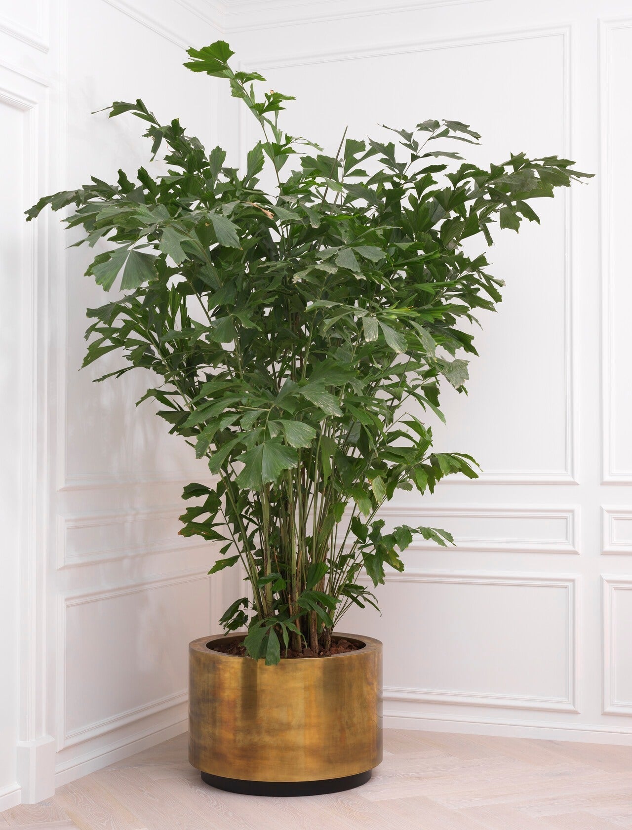 Vintage Brass Round Planter Jasper | Eichholtz Miami