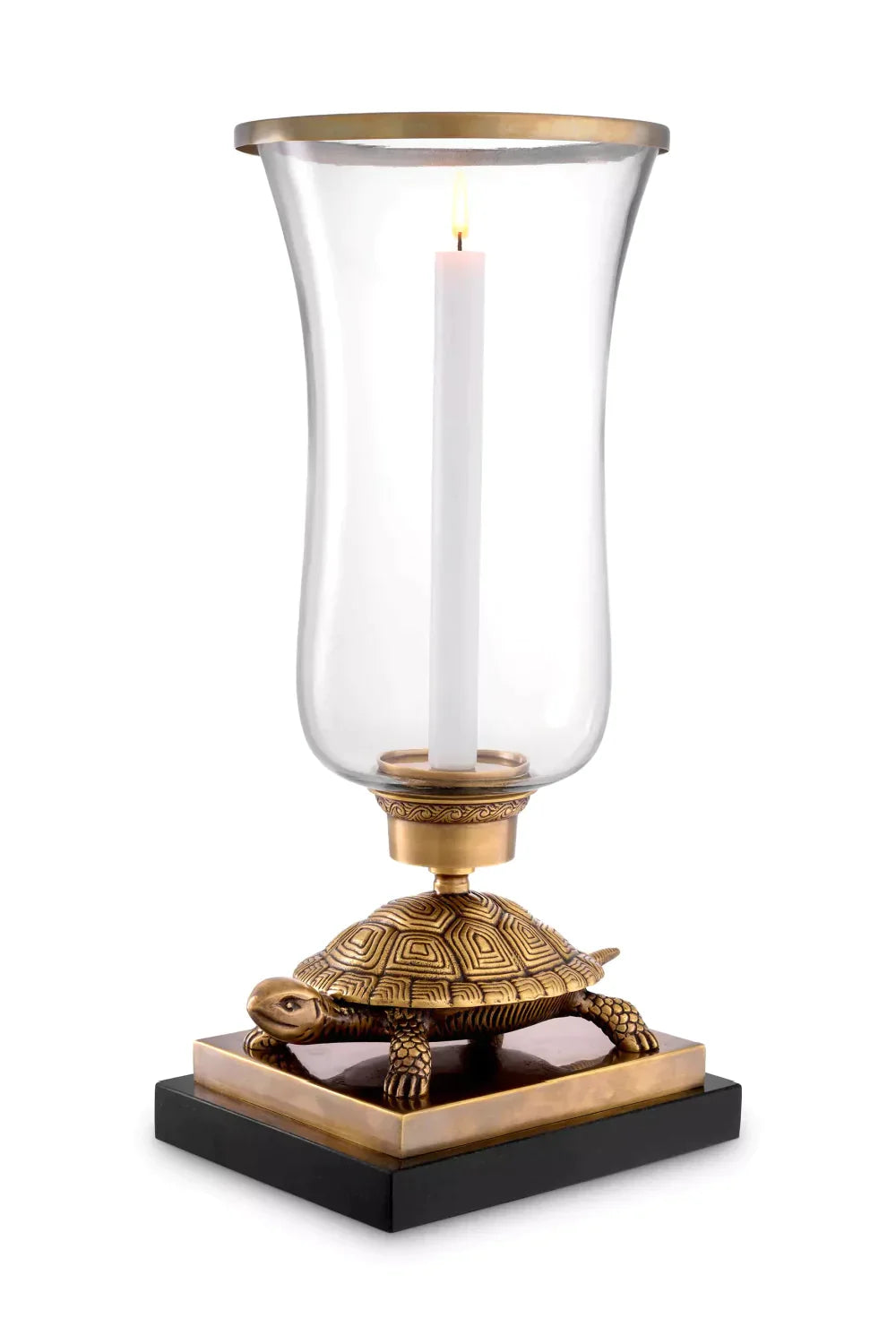 Classic Art Hurricane Tortoise | Eichholtz Miami