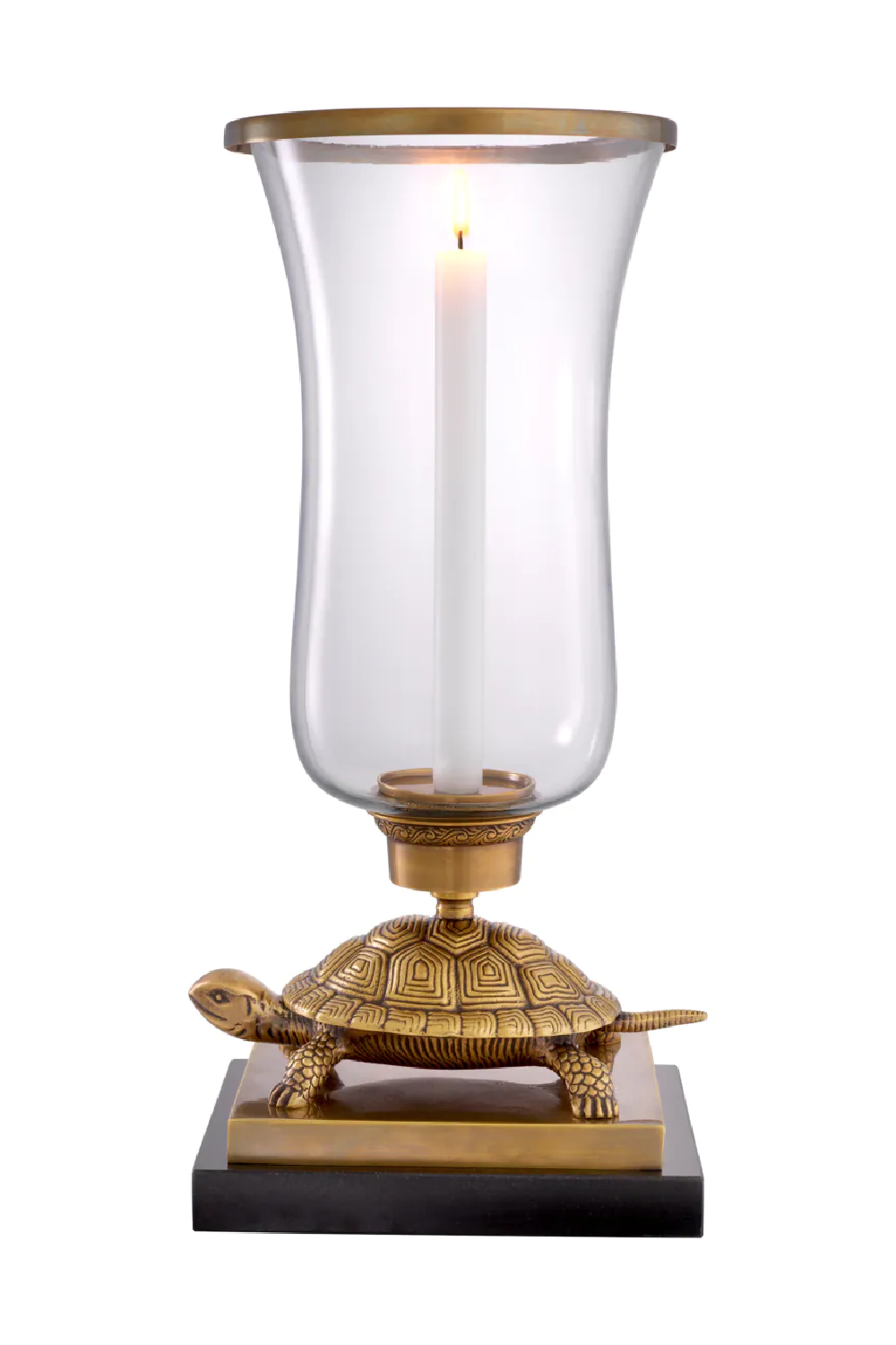 Classic Art Hurricane Tortoise | Eichholtz Miami