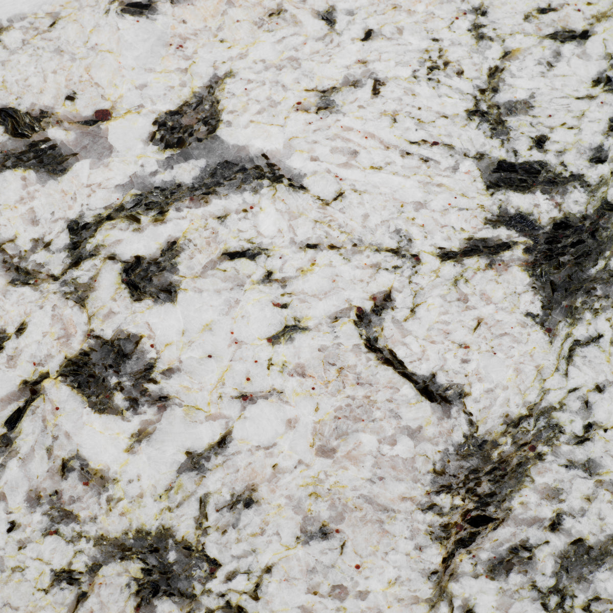 Brass Leg Coffee Table Sunwood | Eichholtz Miami