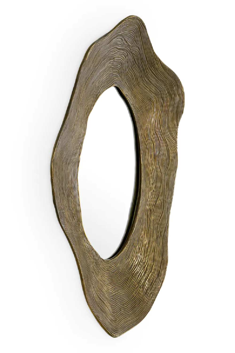 Organic-Shaped Mirror | Eichholtz Pavona | Eichholtzmiami.com