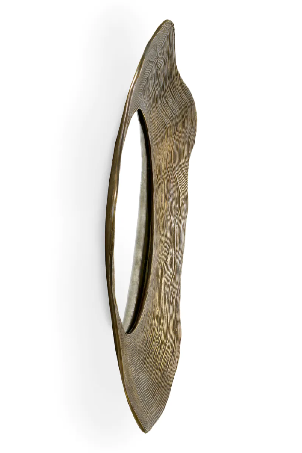 Organic-Shaped Mirror | Eichholtz Pavona | Eichholtzmiami.com