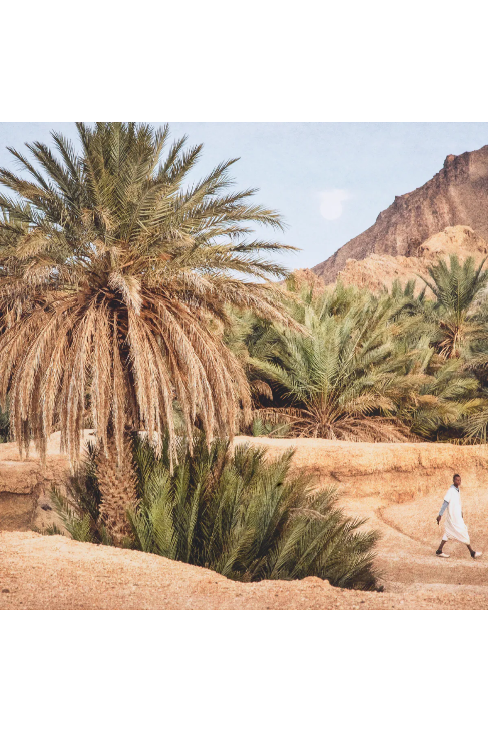 Exotic Art Print Moroccan Oasis | Eichholtz Miami