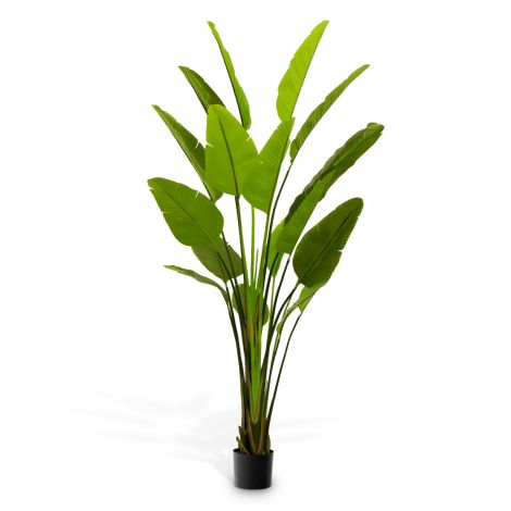 Green Artificial Plant Strelitzia | Eichholtz Miami