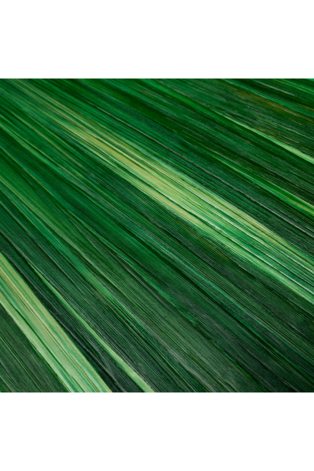 Green Desk Tray Harvard | Eichholtz Miami