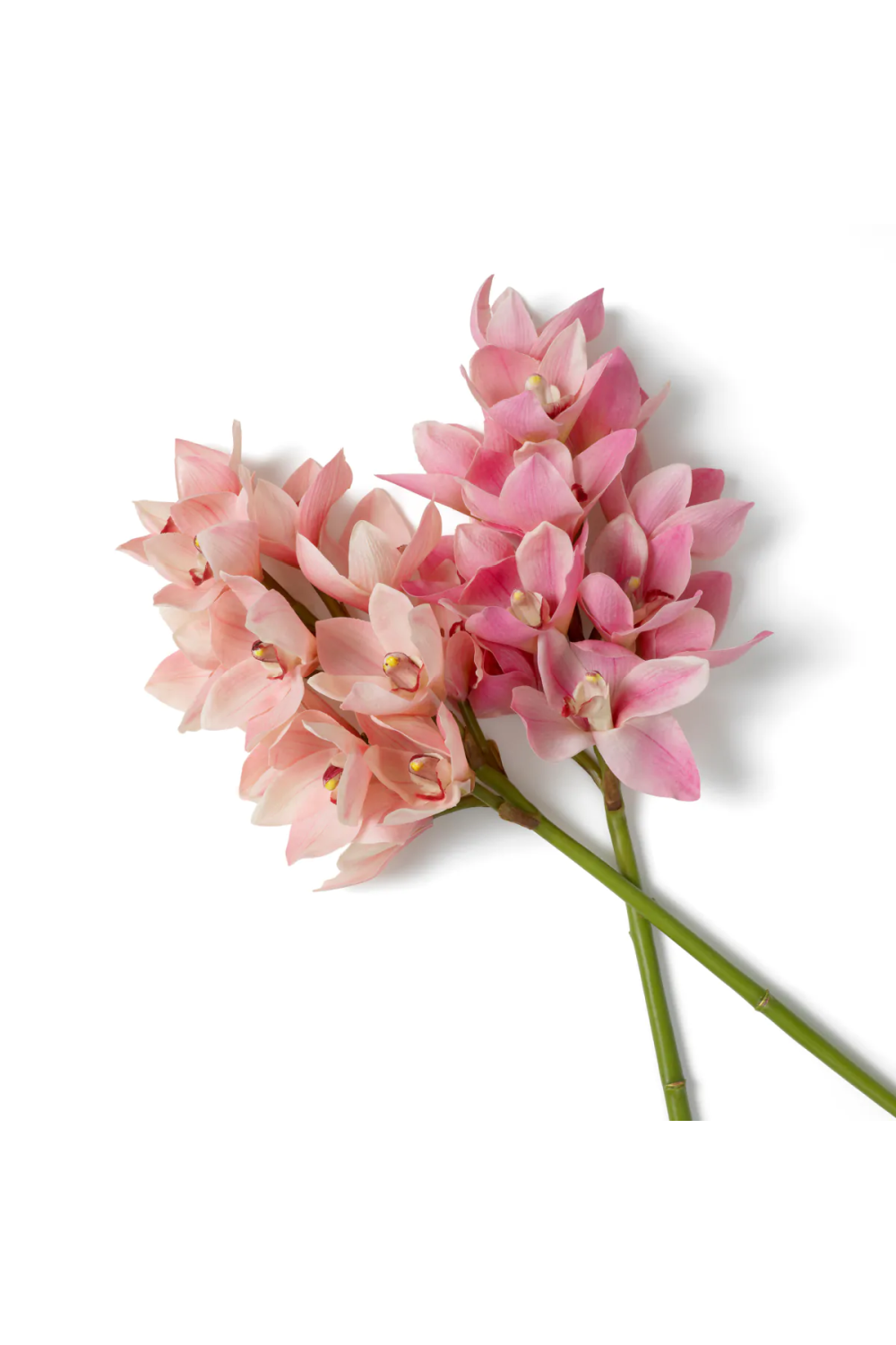 Pink Orchids Bouquet (36) Cymbidium | Eichholtz Miami