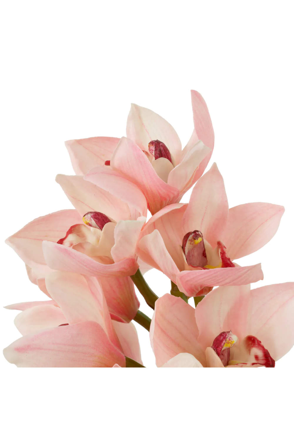 Pink Orchids Bouquet (36) Cymbidium | Eichholtz Miami