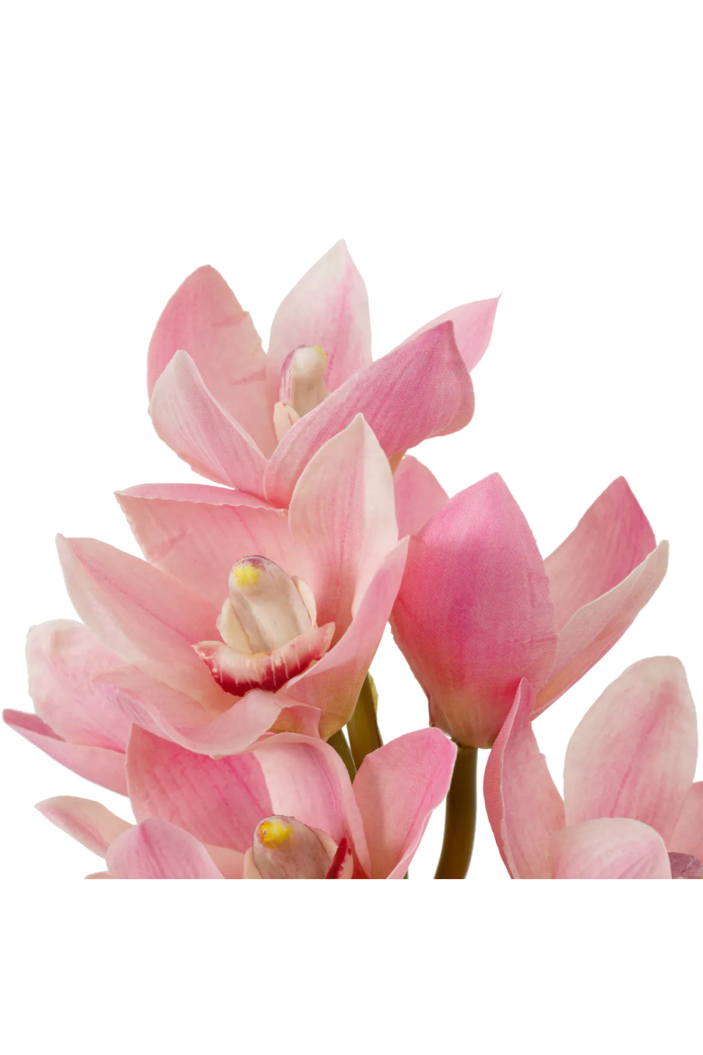 Pink Orchids Bouquet (36) Cymbidium | Eichholtz Miami