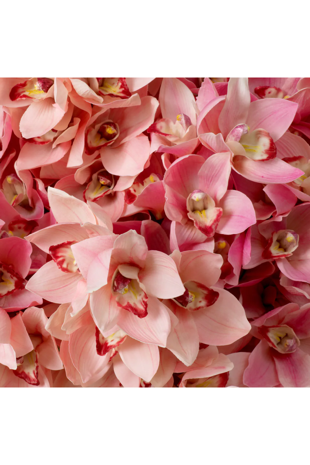 Pink Orchids Bouquet (36) Cymbidium | Eichholtz Miami