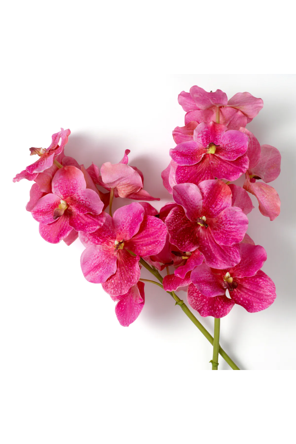 Bouquet of Artificial Flowers (24pcs) Vanda Orchids | Eichholtz Miami