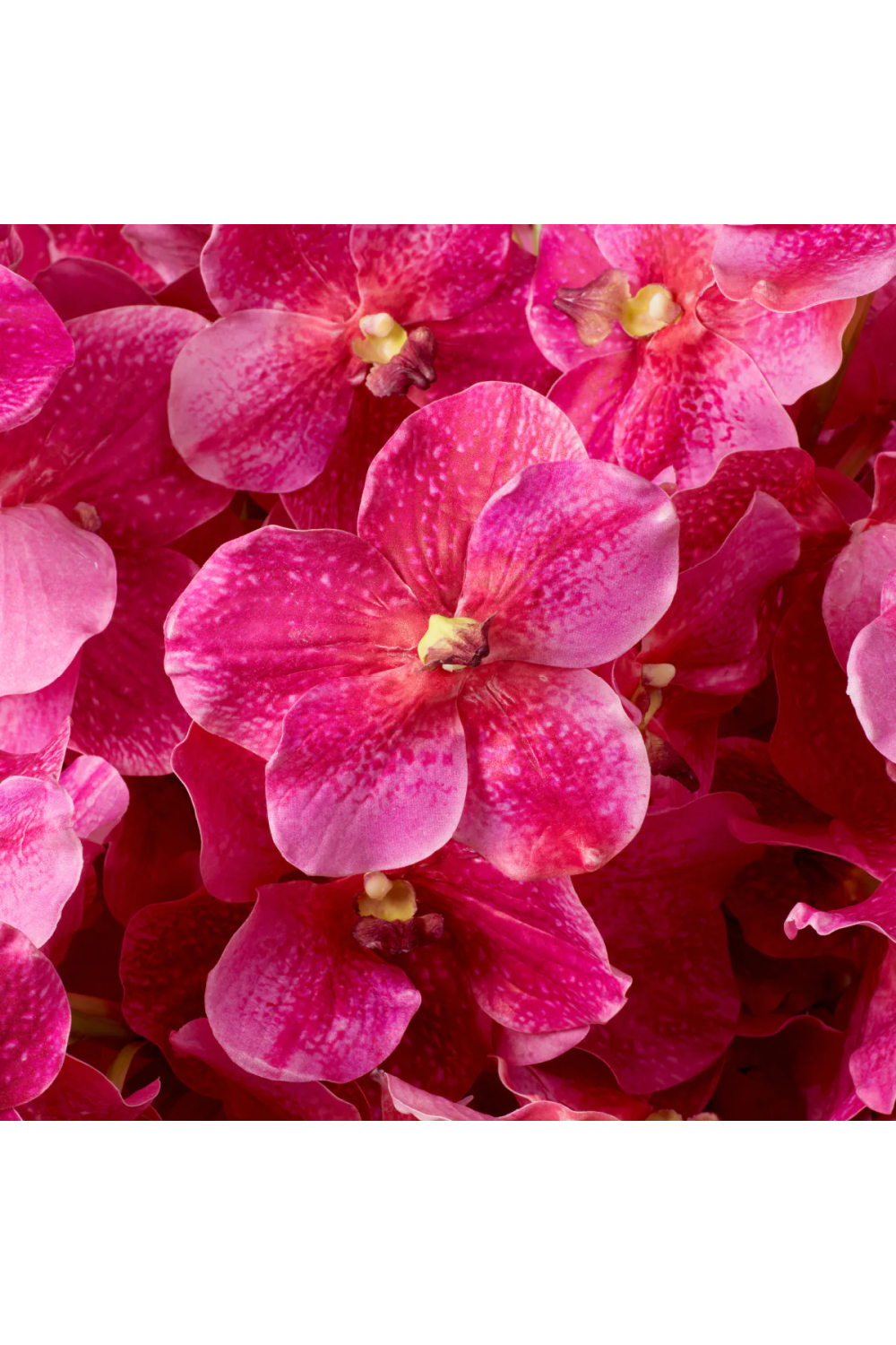 Bouquet of Artificial Flowers (24pcs) Vanda Orchids | Eichholtz Miami