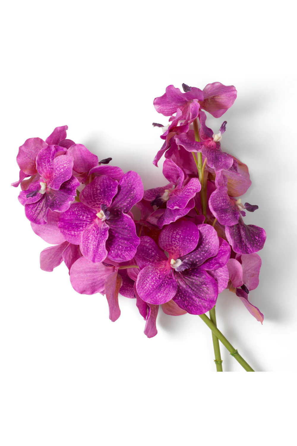 Bouquet of Artificial Flowers (24pcs) Vanda Orchids | Eichholtz Miami