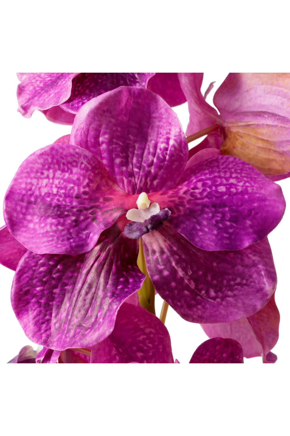 Bouquet of Artificial Flowers (24pcs) Vanda Orchids | Eichholtz Miami