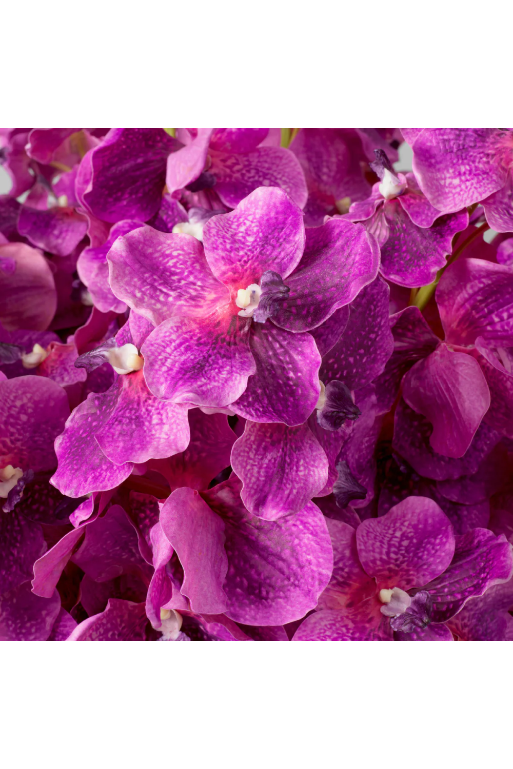 Bouquet of Artificial Flowers (24pcs) Vanda Orchids | Eichholtz Miami