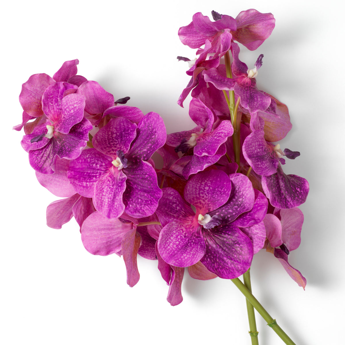 Bouquet of Artificial Flowers (24pcs) Vanda Orchids | Eichholtz Miami