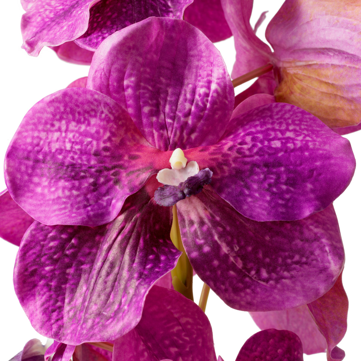 Bouquet of Artificial Flowers (24pcs) Vanda Orchids | Eichholtz Miami