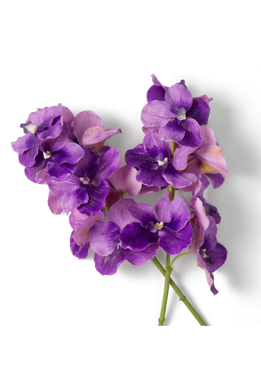 Bouquet of Artificial Flowers (24pcs) Vanda Orchids | Eichholtz Miami