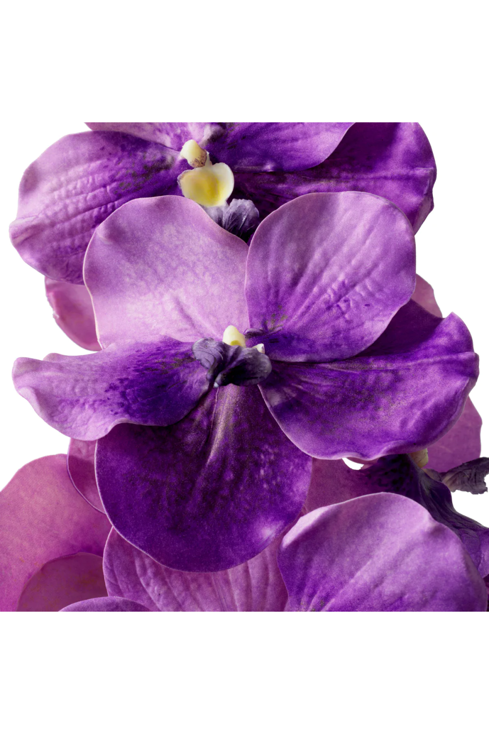 Bouquet of Artificial Flowers (24pcs) Vanda Orchids | Eichholtz Miami