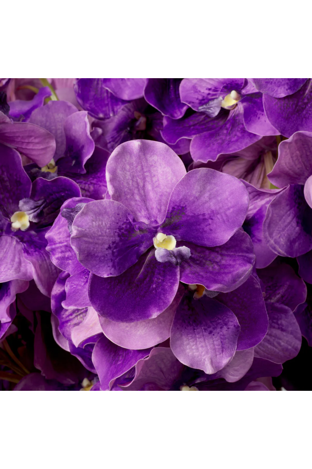 Bouquet of Artificial Flowers (24pcs) Vanda Orchids | Eichholtz Miami