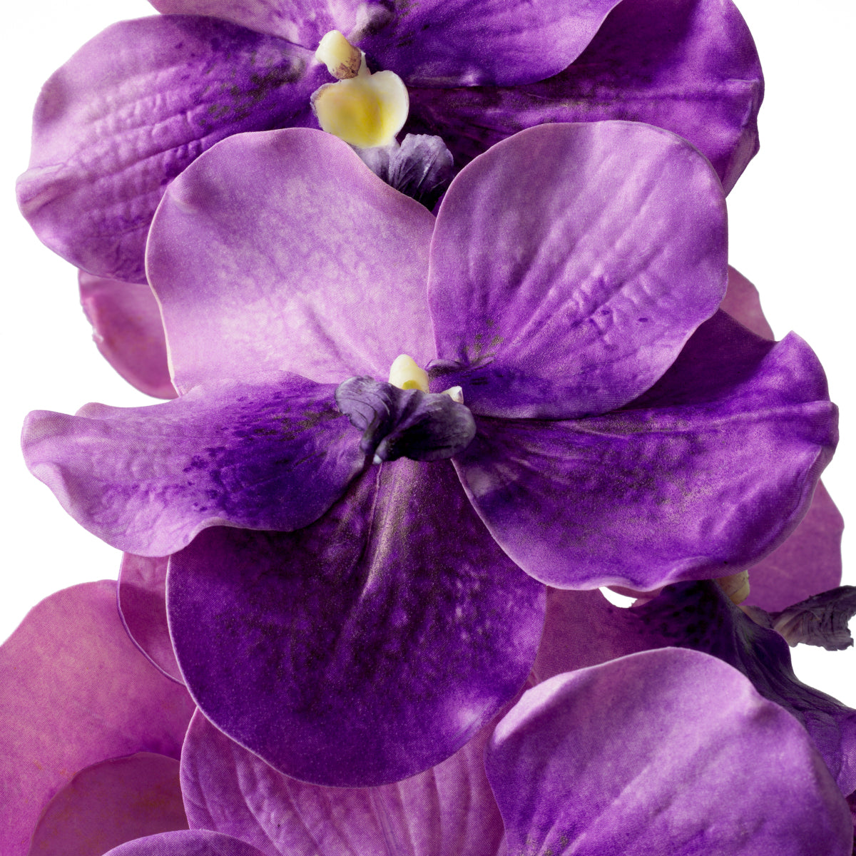 Bouquet of Artificial Flowers (24pcs) Vanda Orchids | Eichholtz Miami