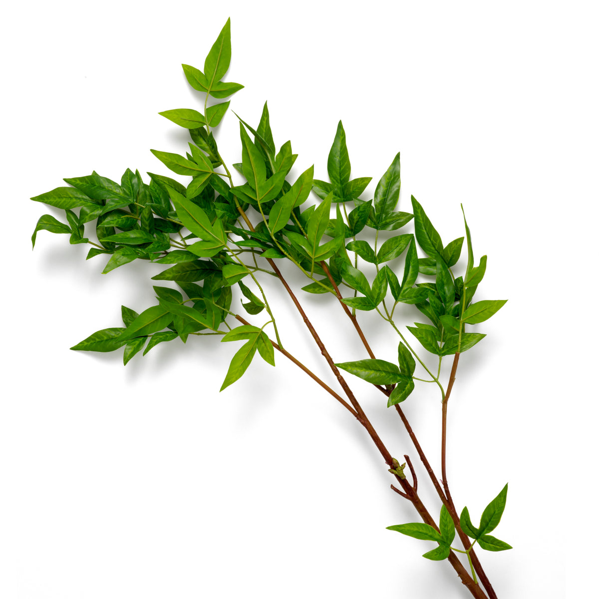 Artificial Green Bundle (36pcs) Tender Leaves | Eichholtz Miami