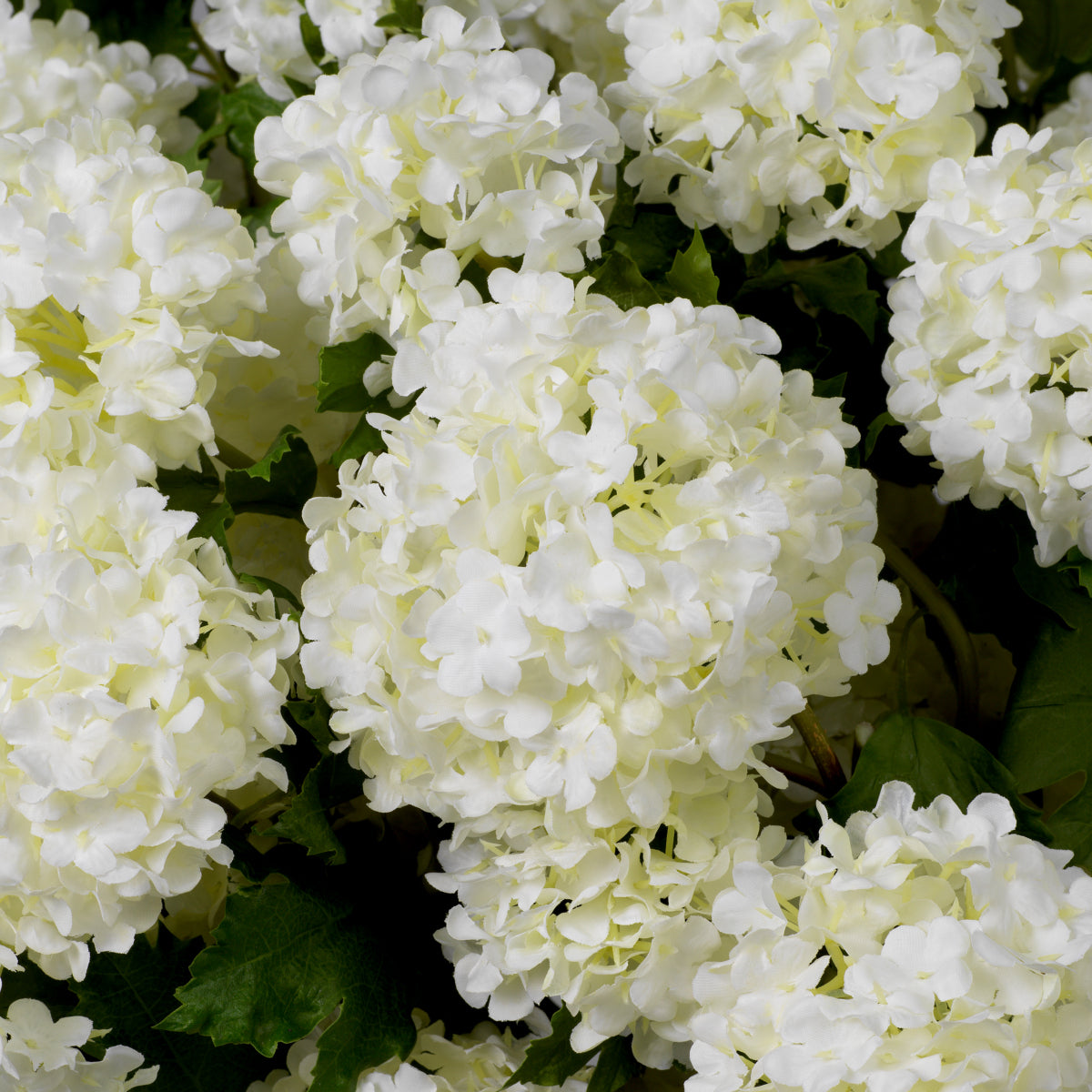 Snowball Flower Bouquet (36pcs) Hydrangeas | Eichholtz Miami