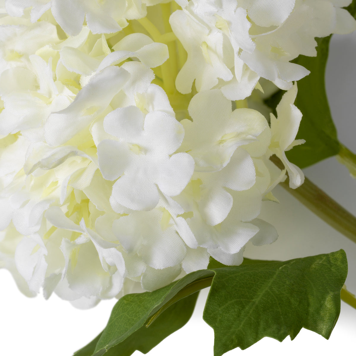 Snowball Flower Bouquet (36pcs) Hydrangeas | Eichholtz Miami