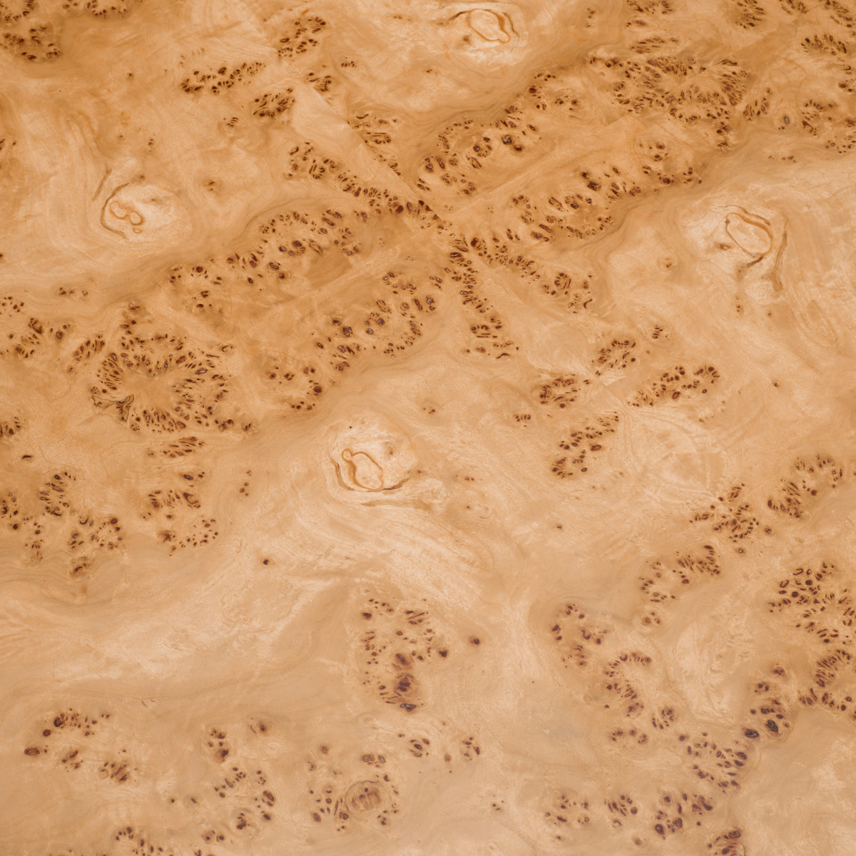 Mappa Burl Coffee Table (3) Quinton | Eichholtz Miami