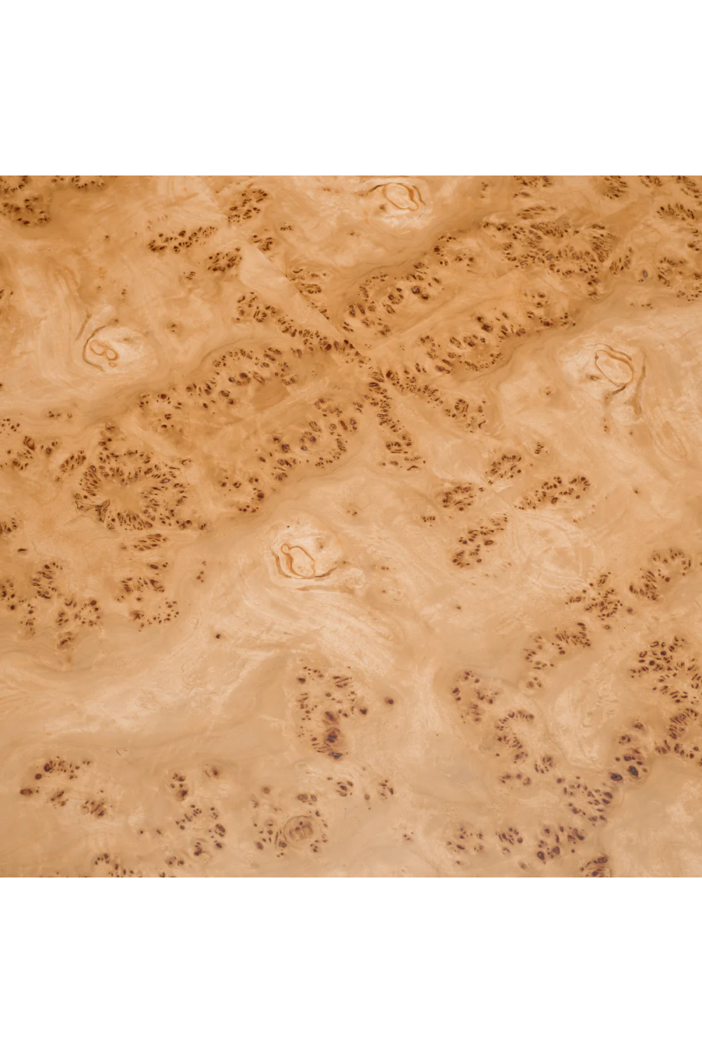 Mappa Burl Side Table Quinton | Eichholtz Miami