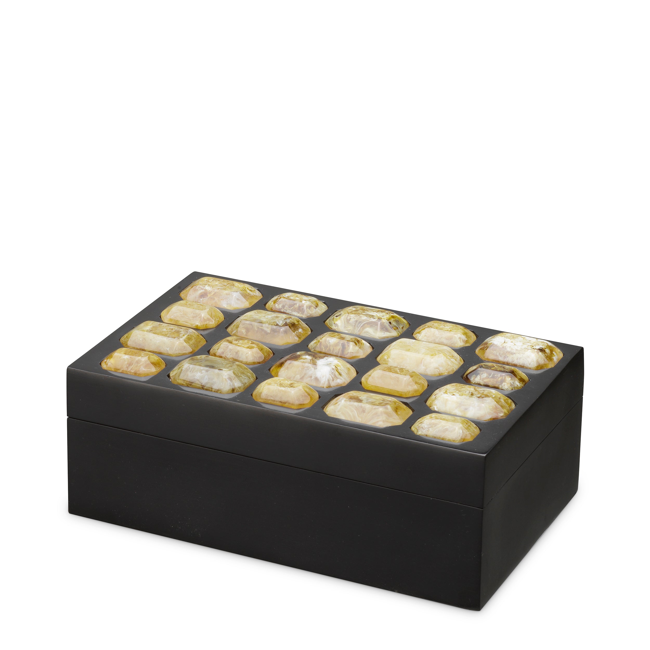 Black Faux Amber Box Lucida | Eichholtz Miami