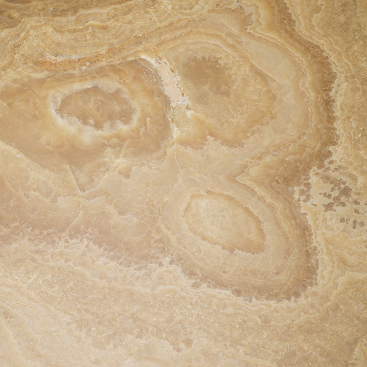 Onyx Coffee Table Portofino | Eichholtz Miami