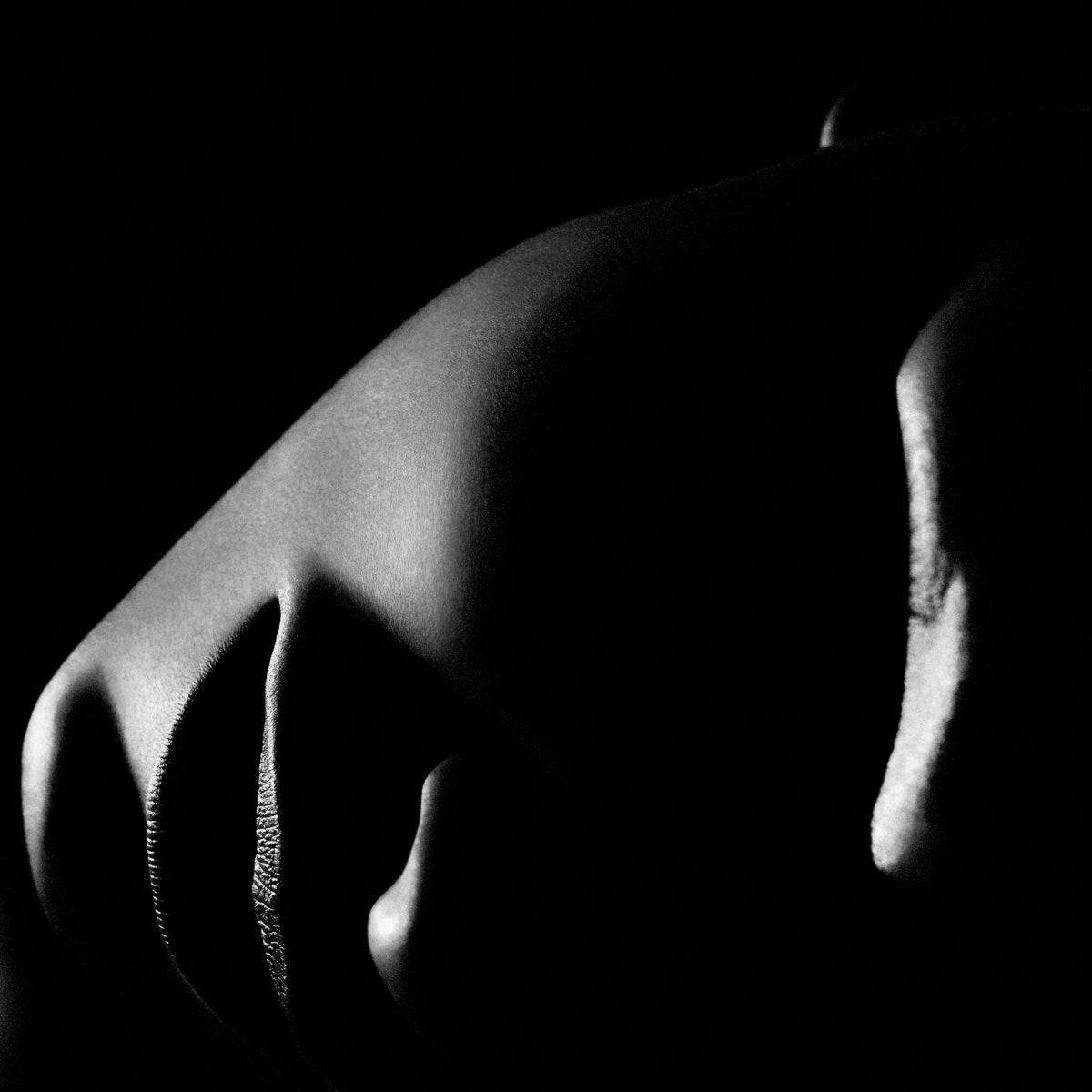 Face Silhouette Artwork Philippe Vogelenzang - La Nuit | Eichholtz Miami