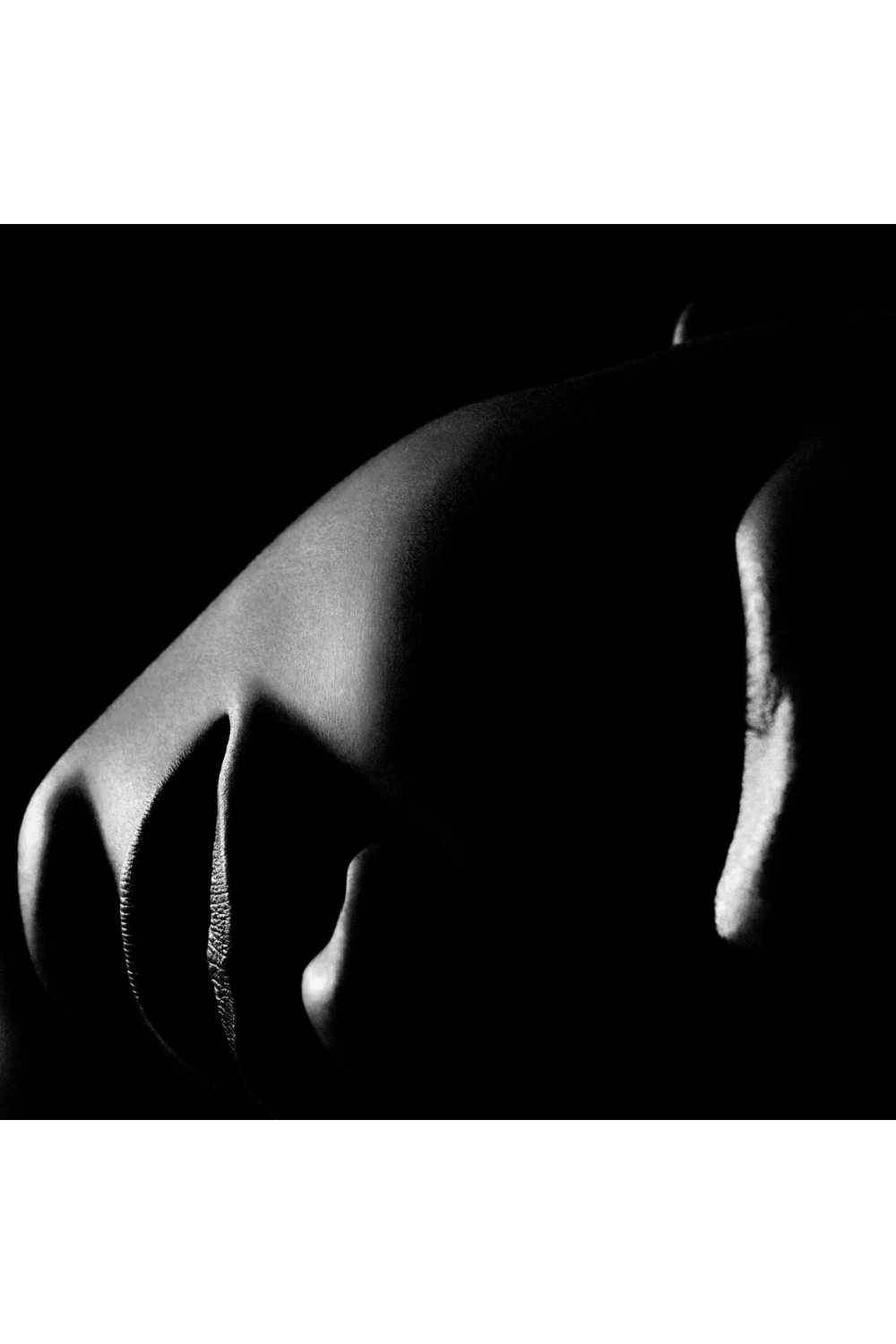 Face Silhouette Artwork La Nuit | Eichholtz Miami