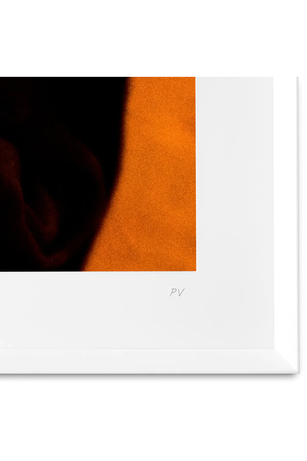 Flower Art Print Vitamin Oral | Eichholtz Miami