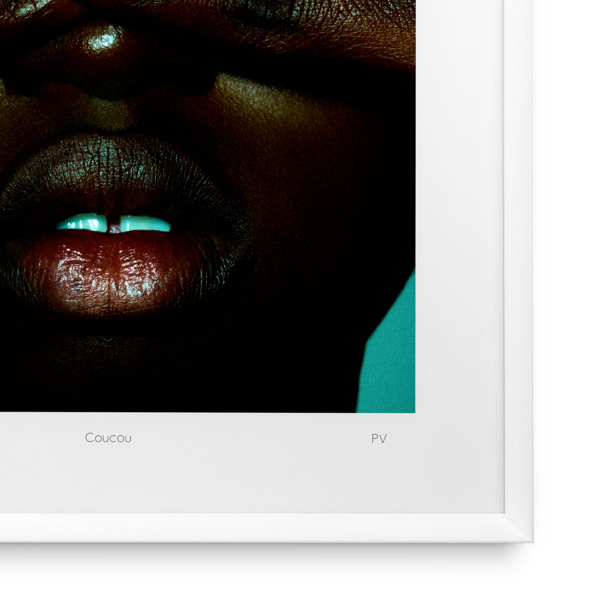 Print Philippe Vogelenzang - Coucou | Eichholtz Miami