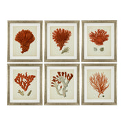 Silver Frame Prints (6) Red Corals | Eichholtz Miami