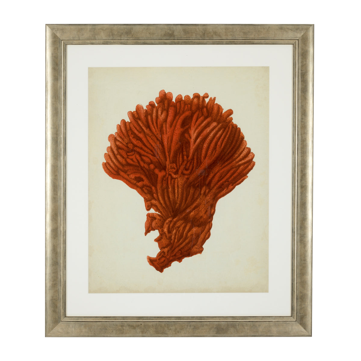 Silver Frame Prints (6) Red Corals | Eichholtz Miami